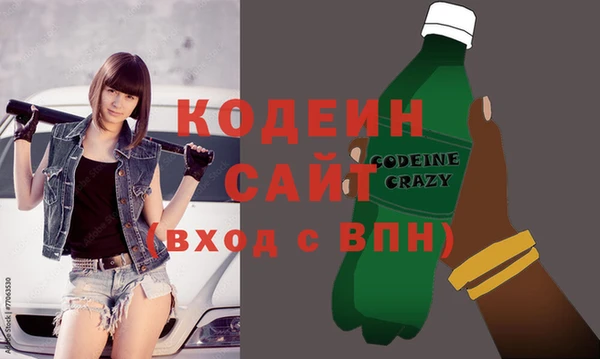 гидра Заводоуковск