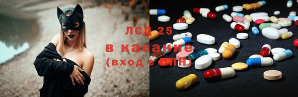 гидра Заводоуковск