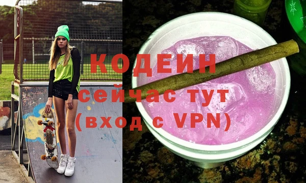 гидра Заводоуковск