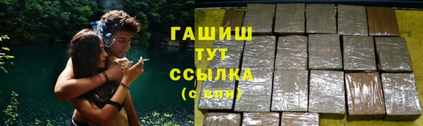 гидра Заводоуковск