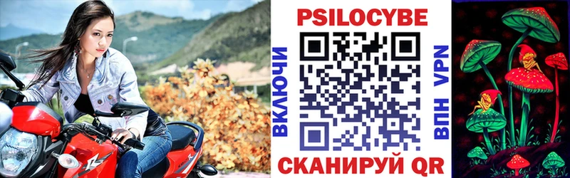 Псилоцибиновые грибы мицелий  Купить закладки  Шумерля 