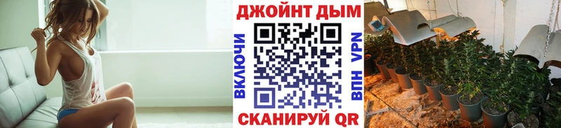 Конопля OG Kush  Купить где  Шумерля 
